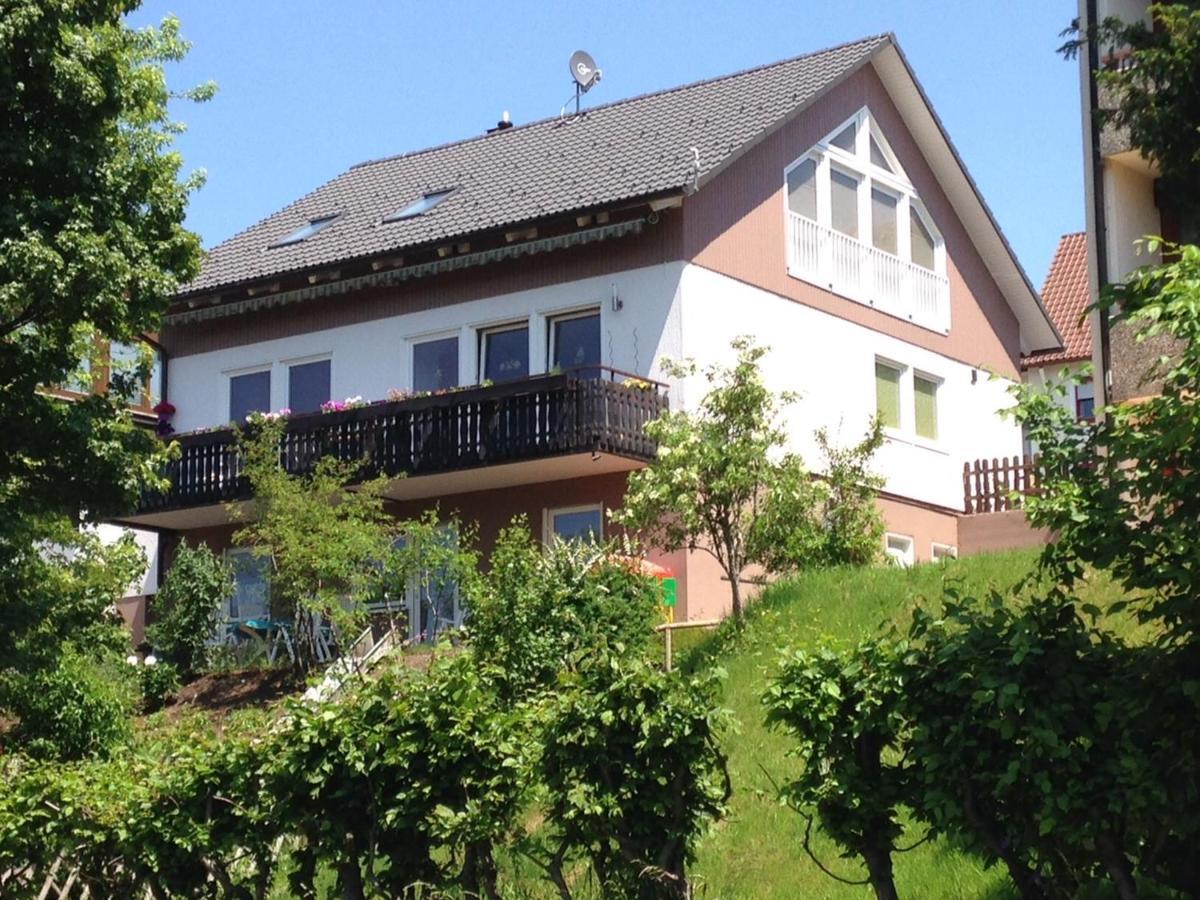 Апартаменты Haus Talblick Фройденштадт Экстерьер фото